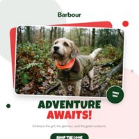 AI-generated ad creative variation 4 for automated A/B testing