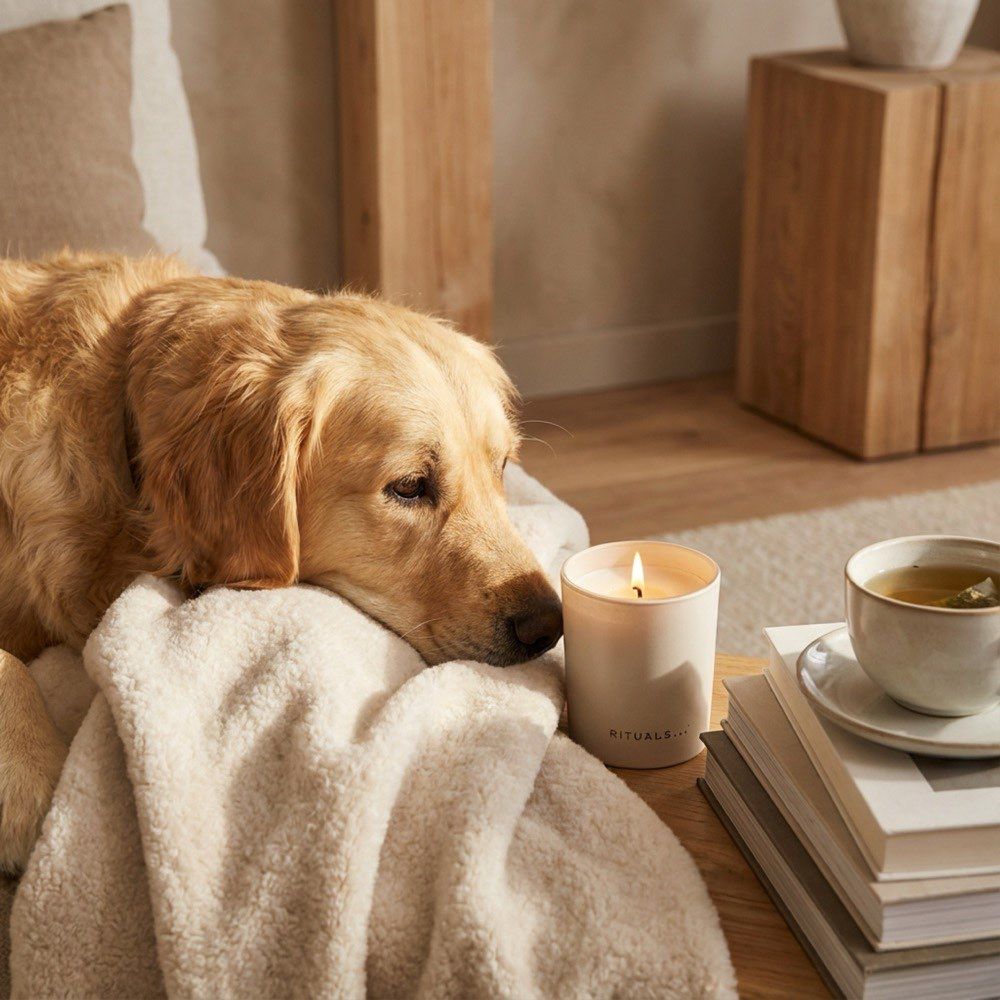 Gezellige lifestyle — kaars & wellness